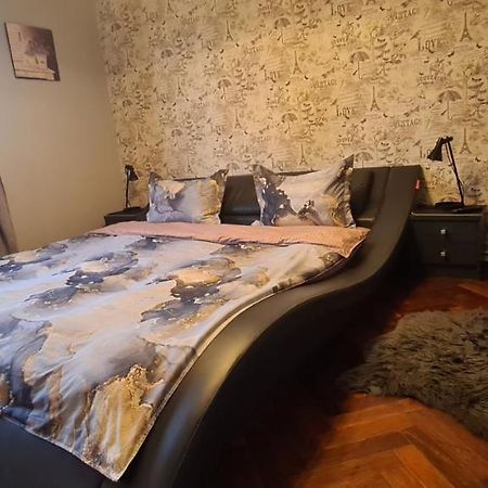 Comfort Home Apartment 1 彼得罗沙尼 外观 照片