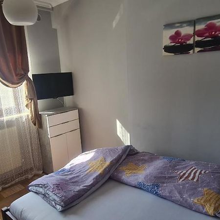 Comfort Home Apartment 1 彼得罗沙尼 外观 照片