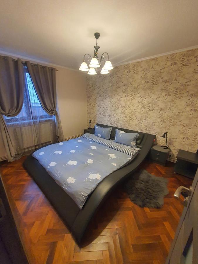 Comfort Home Apartment 1 彼得罗沙尼 外观 照片