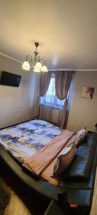 Comfort Home Apartment 1 彼得罗沙尼 外观 照片